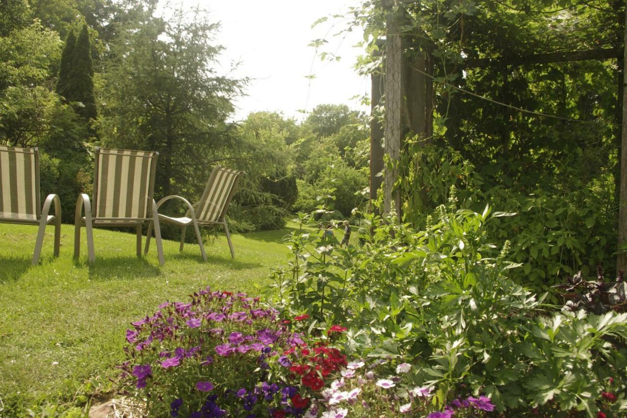 Gîte Au pied des Appalaches Sainte-Sophie-D'Halifax Extérieur photo